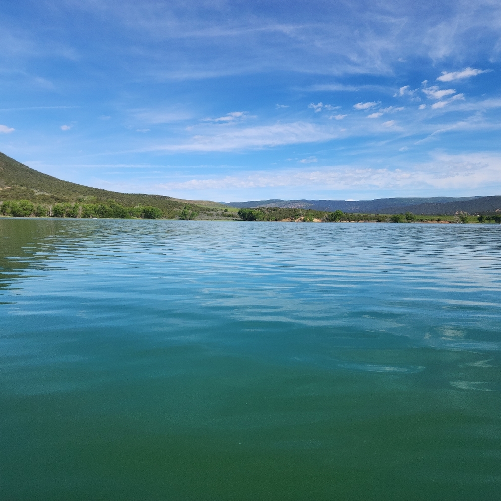 Meet your Posher, Chyna